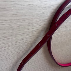 赤いベルトの画像