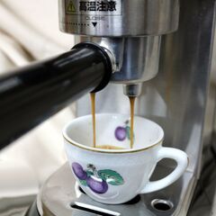 【デロンギ EC680M】 De’Longhi デロンギ エスプレッソマシン デディカ 動作確認済の画像