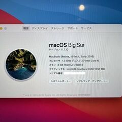 MacBook12　2015　CoreM　8GB　500GB　まずまず美品です！の画像
