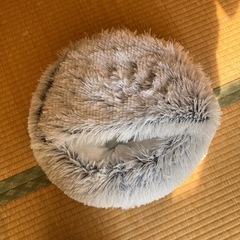 ペット用　クッション　グレーの画像