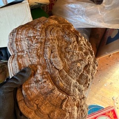 サルの腰掛けの画像