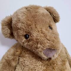 【無料】体高６０ｃｍ 大きなクマ テディベア ぬいぐるみの三英の画像