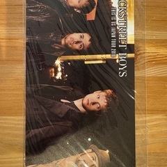 バックストリートボーイズ　Backstreet Boys BSB オフィシャルファンクラブ　継続特典　フォトブック　チケットホルダー　非売品　グッズの画像