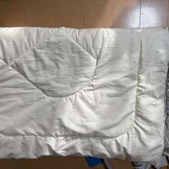 11/10まで★シングルかけ布団　の画像