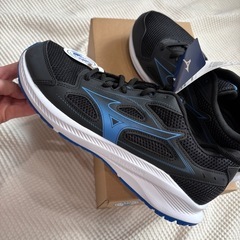 タグ付き未使用新品★ミズノ　マキシマイザー26 26.0㎝の画像