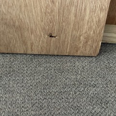 美術や絵を描いている方！木製パネル縦145cm×横102.5cmとB0サイズ
の画像