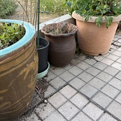 ピータン瓶、壺 全部回収出来る方の画像