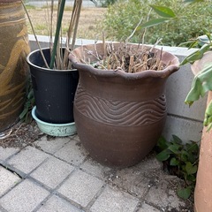 ピータン瓶、壺 全部回収出来る方の画像