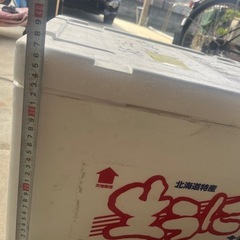 大きな発泡スチロール　4個の画像