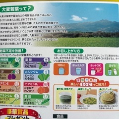 金の青汁【個別包装】約50個【健康食品】抹茶風味の画像