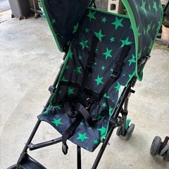 バギー　2台の画像