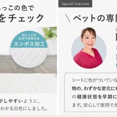 犬用おしっこシーツレギュラー薄型600枚の画像