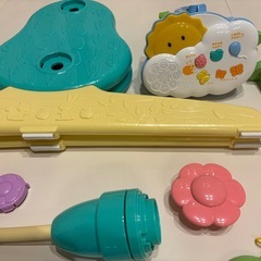 プーメリーの画像