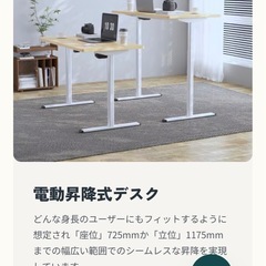 【】現金可】flexispot EG1 昇降式パソコンデスク 100cmの画像