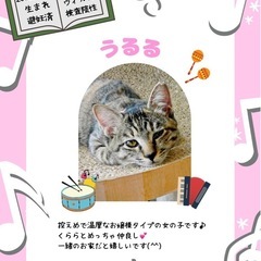 仲良し姉妹♥️うるる