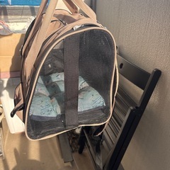 リュックサック型　ペット　キャリーケースの画像