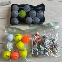レディースゴルフセット！
1回使用のみの美品！DESCENTEキャディケース＋レディースクラブセットの画像