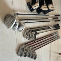 レディースゴルフセット！
1回使用のみの美品！DESCENTEキャディケース＋レディースクラブセットの画像