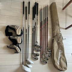 レディースゴルフセット！
1回使用のみの美品！DESCENTEキャディケース＋レディースクラブセットの画像