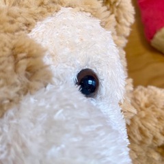 【美品】 ディズニー ダッフィー ロッツォ ぬいぐるみセットの画像