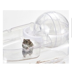 ハムスター 飼育セットの画像