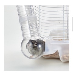 ハムスター 飼育セットの画像