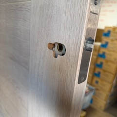 Panasonic 開き戸（ドア扉）MJE1DPE01BN72WY 620×2000×35mmの画像