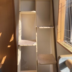 キャットタワー　スタンドの画像