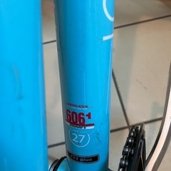 ルイガノ LGS-J22 PLUS 22型 アルミ シマノ　東京　子供用　自転車の画像