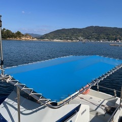 ヤマハYD-24の画像