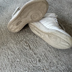 adidas白色23.5の画像