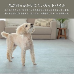 6畳用カーペット　グレー
の画像