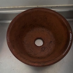 大量の植木鉢の出品ですの画像