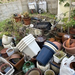 植木鉢、火鉢そのた　盆栽の画像