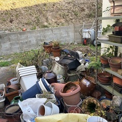 植木鉢、火鉢そのた　盆栽の画像