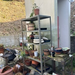 植木鉢、火鉢そのた　盆栽の画像