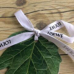 LOEWE ロエベ　ギフト　タグ　最安値　お洒落　可愛い　リボン　大人気の画像