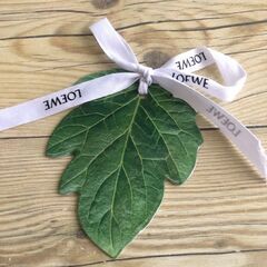 LOEWE ロエベ　ギフト　タグ　最安値　お洒落　可愛い　リボン　大人気の画像