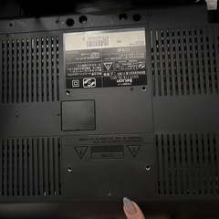 19インチとにたーモニターの画像