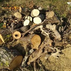 薪用にいかがですかの画像