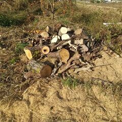 薪用にいかがですかの画像