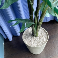観葉植物　造花の画像
