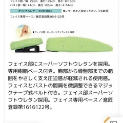 【正規品】Takata整体マットの画像