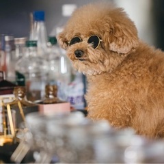 40代お友達募集【男女】☕️🍰🍺🍖♪ - 武蔵野市