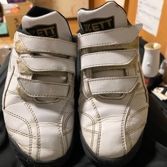 野球トレーニングシューズの画像