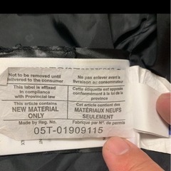 カナダグースの画像