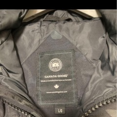 カナダグースの画像