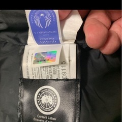 カナダグースの画像