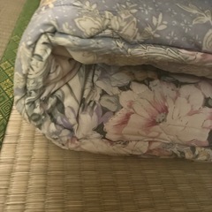 写真下　敷布団　の画像