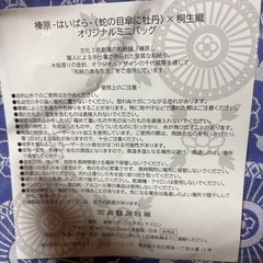 新品未開封　伊勢丹　榛原ミニバッグの画像